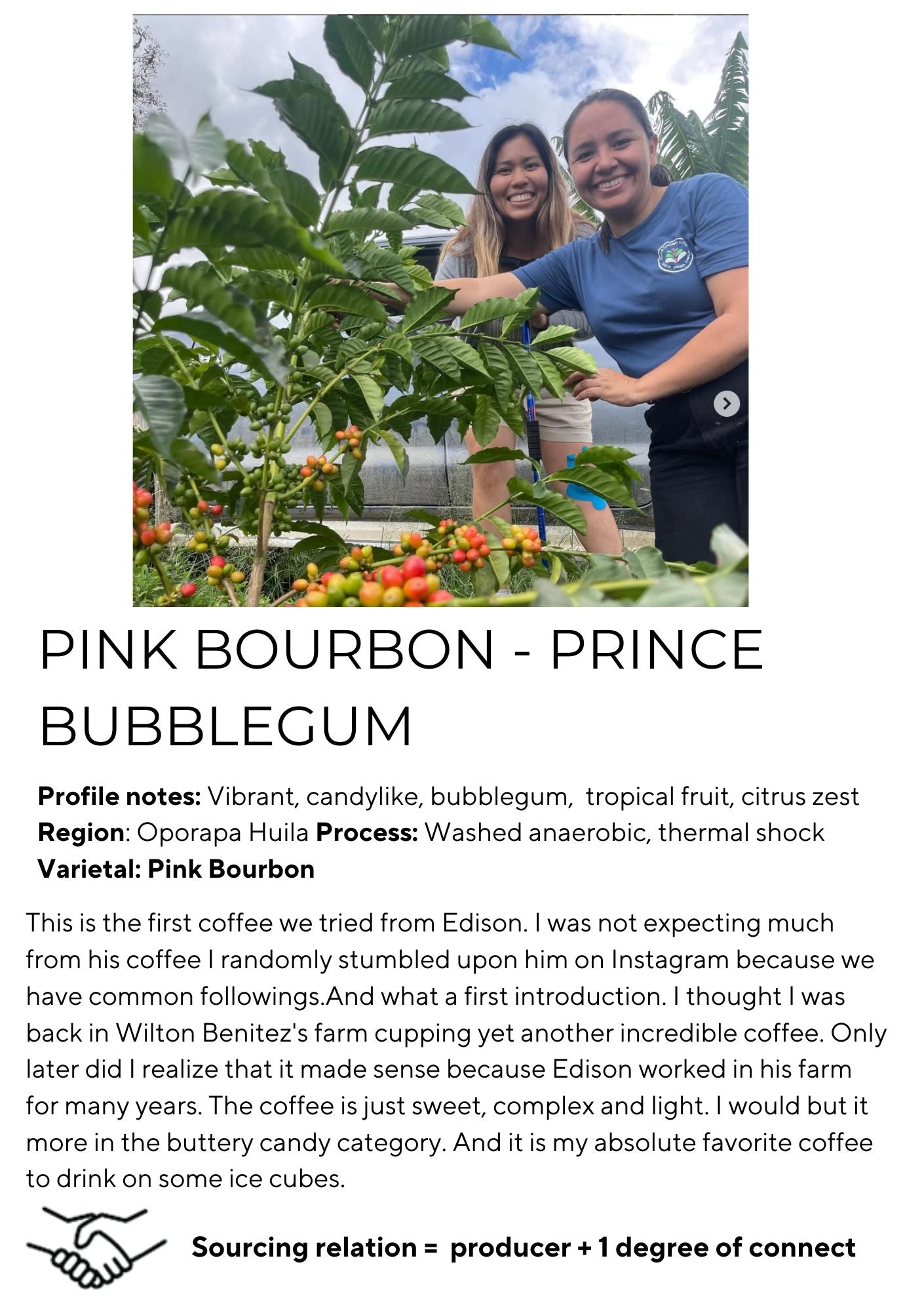 Prince Bubblegum, Pink Bourbon - Something's Brewing