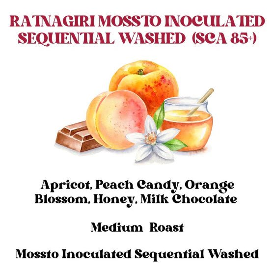 Ratnagiri Mossto Inoculated Sequential Washed | Rossette Coffee Lab - Something's Brewing
