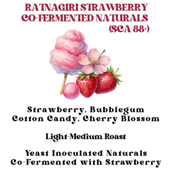 Ratnagiri Strawberry Co-ferment | Rossette Coffee Lab - Something's Brewing