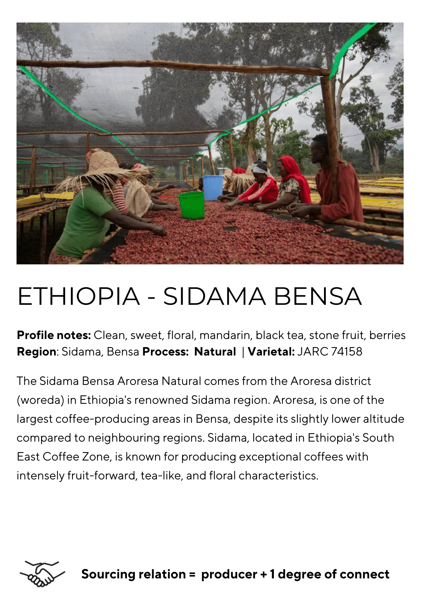Sidama Bensa - Aroresa Natural - Something's Brewing