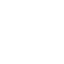 shipping icon