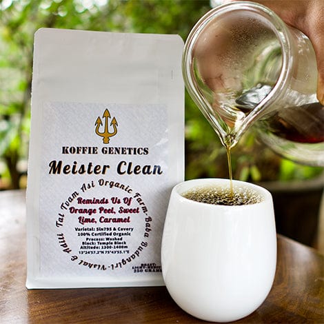 Koffie Genetics Roaster Koffie Genetics Meister Clean