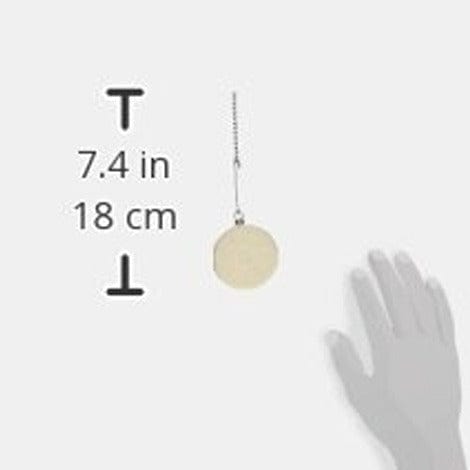Hario Filter for Coffee Syphon MCA-3/5 TCA-2/3/5