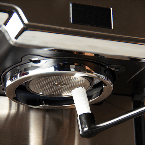 Budan Cleaning Brush - Something's Brewing